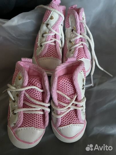 Новые ботиночки для собаки