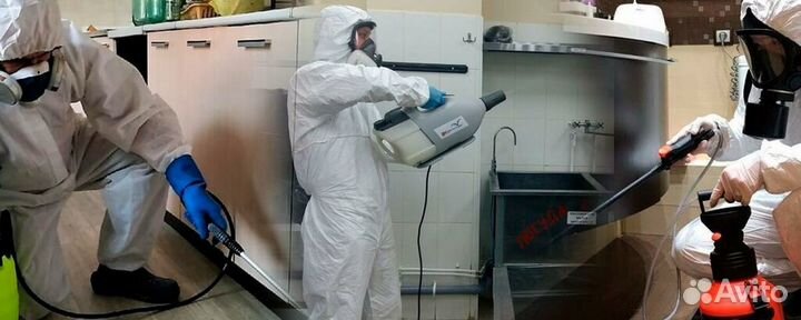 Дезинфекция от тараканов с гарантией