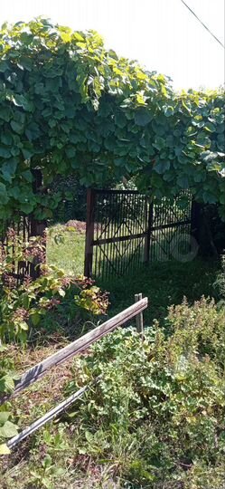 Дача 10 м² на участке 10 сот.