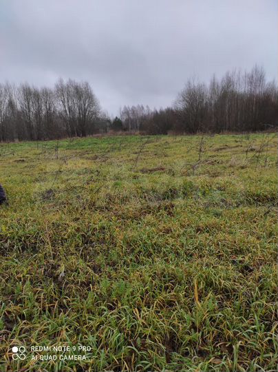 Участок 10,5 сот. (ИЖС)