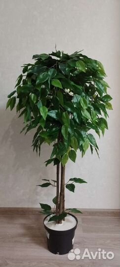 Фикус искусственный в ассортименте