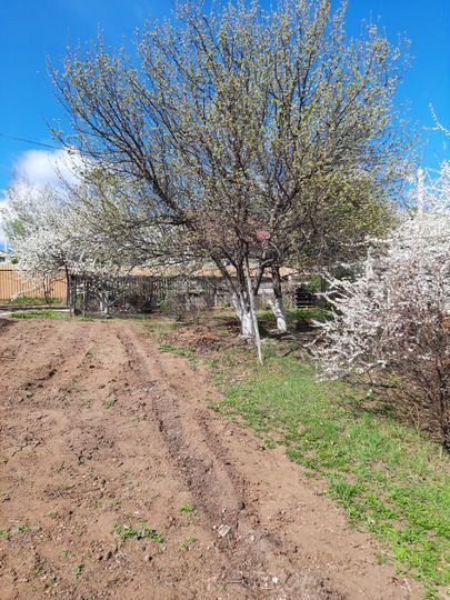 Участок 6,4 га (СНТ, ДНП)