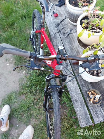 Focus highland peac 26