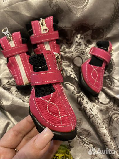 Ботинки для собак