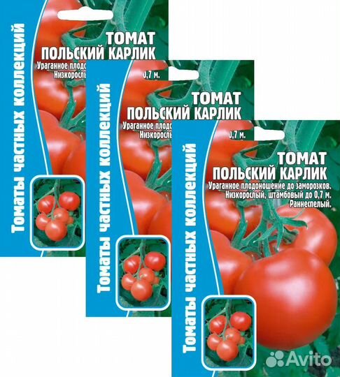 Семена Томат Польский карлик, 3 Упаковки по 12 сем