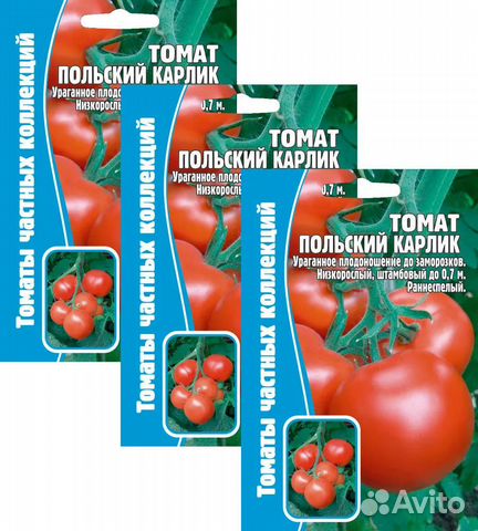 Семена Томат Польский карлик, 3 Упаковки по 12 сем