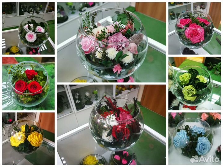 Флорариум, цветы в колбе. Не завянут до 5 лет, от