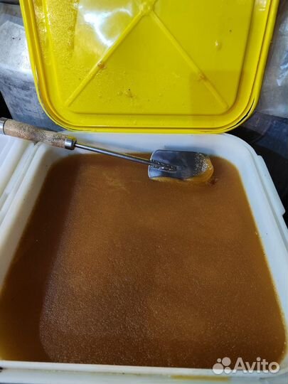 Свежий мед 2023 г Акация, Гречка