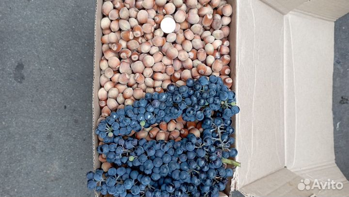 Орехи фундук 23г.Виноград СССР молдав.технический