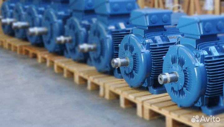 Электродвигатель аир 250 S2 (75 кВт 3000 об/мин)