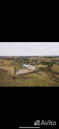 Фермерское хозяйство Честная ферма