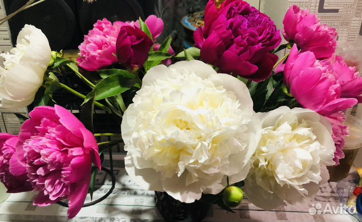 Многолетние цветы для сада