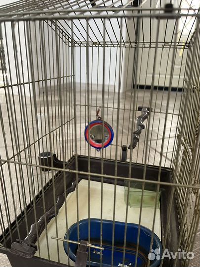Клетка для птиц