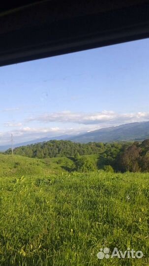 Адамов корень