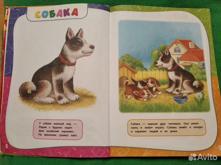 Развивающая книга от 0 до 3