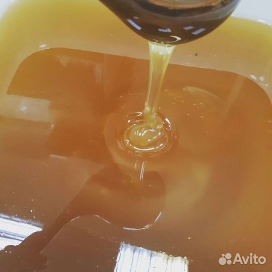 Мед акациевый белый оптом