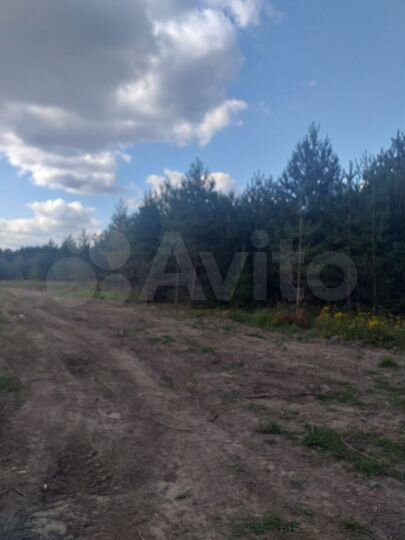 Участок 8 сот. (ИЖС)