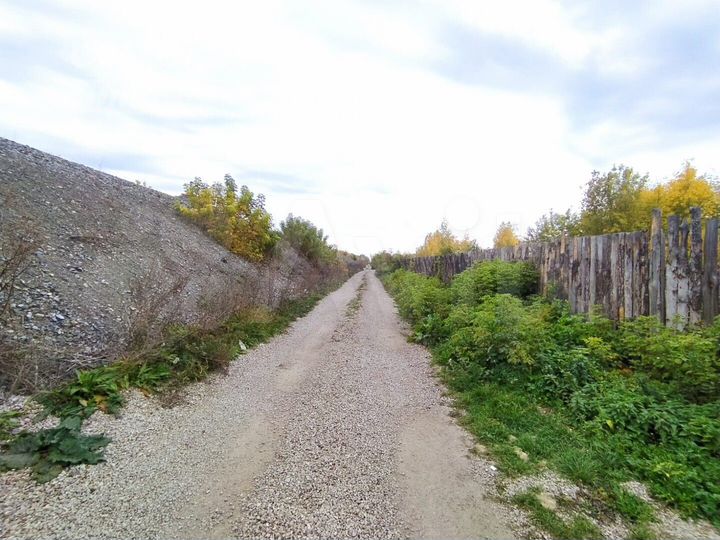 Участок 19,5 сот. (СНТ, ДНП)