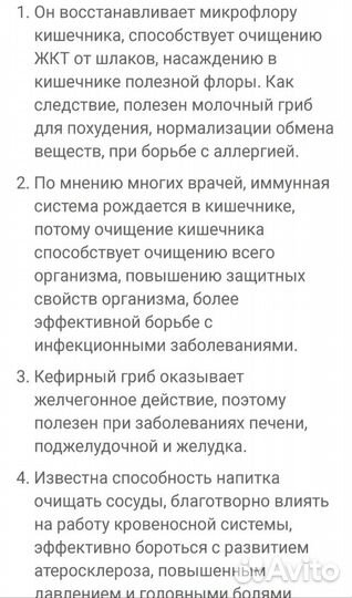 Молочный гриб