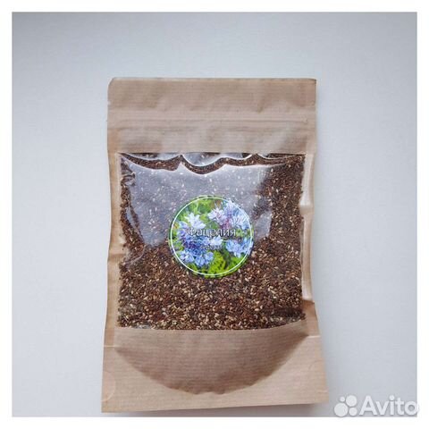 Сидерат. Фацелия