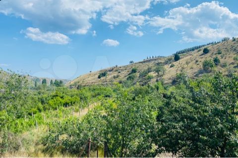 Участок 4 сот. (СНТ, ДНП)