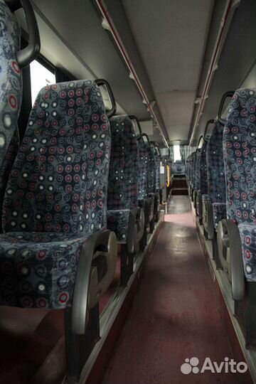 Пассажирские перевозки автобус