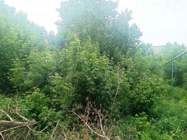 Участок 6 сот. (промназначения)