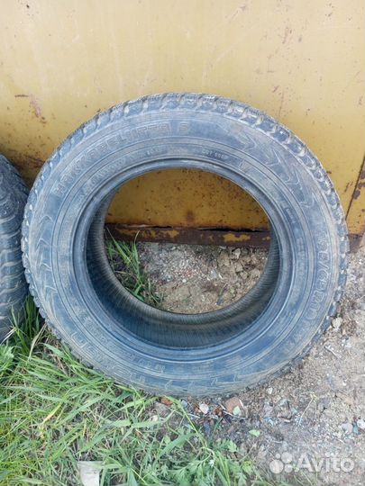Nokian Tyres Hakkapeliitta 5 195/65 R15