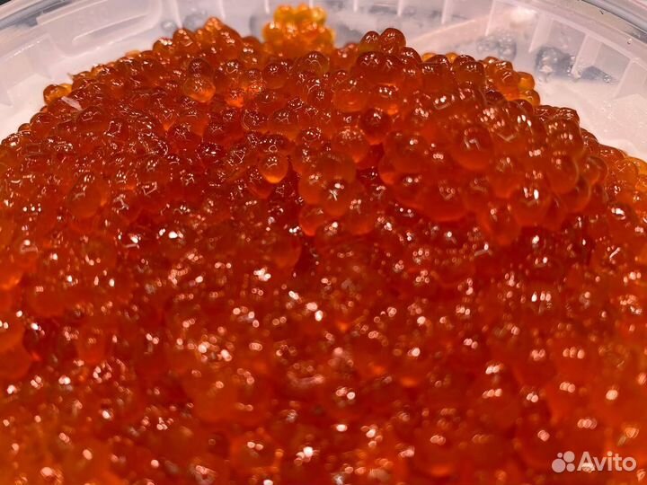 Красная икра. Свежая