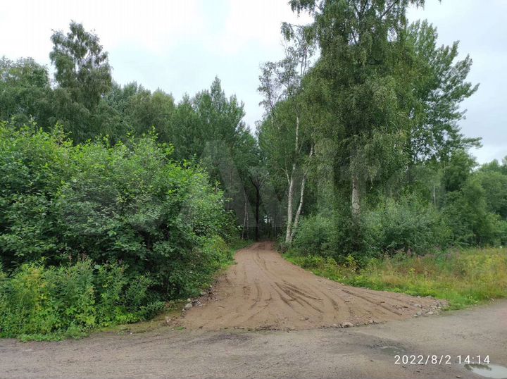 Участок 1,1 га (СНТ, ДНП)