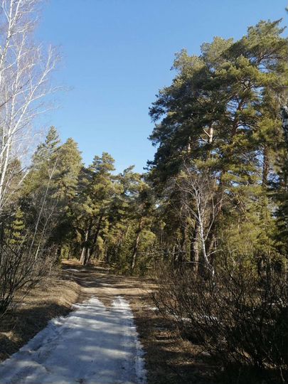 Дом 40 м² на участке 10 сот.