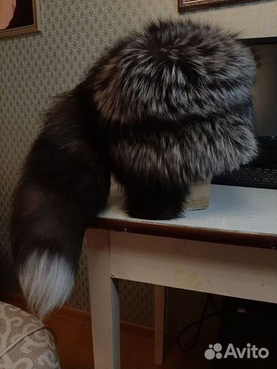 Меховая шапка