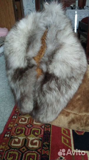 Шкурка песец