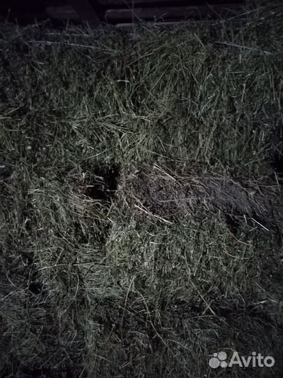 Сено люцерны в тюках