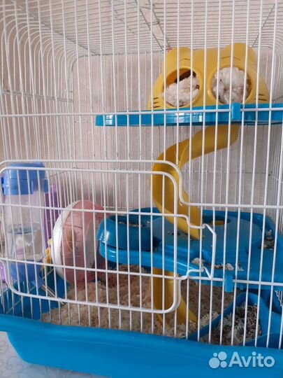Клетка для грызунов