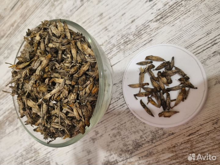 Бархатцы тонколистные семена