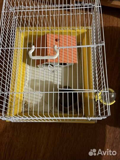 Клетка для грызунов