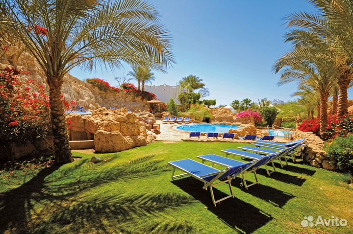 Тур в Египет вылет 1 сентября на 10 ночей из Спб