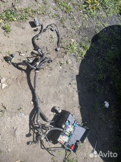 Проводка (коса) мазда 3 бк 2007 2.0 к двигателю LF