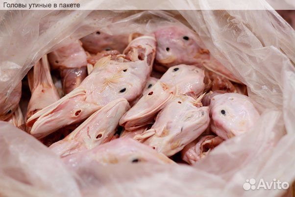 Утиные Головы