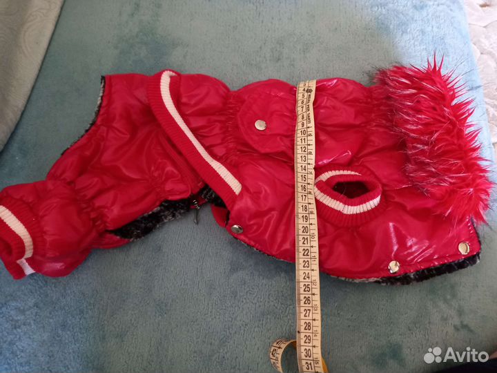 Комбинезон для маленькой собачки