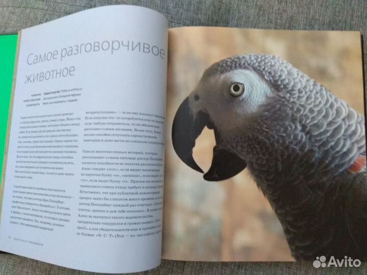 Удивительная природа Марк Карвардин