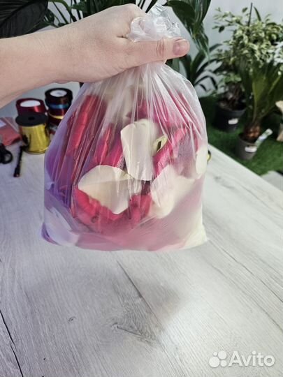 Лепестки роз свежие