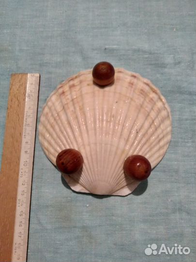 Тарелка-ракушка декоративная