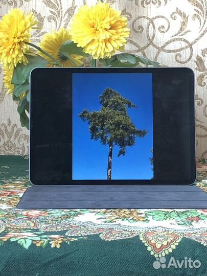 iPad Pro (11-дюймовый) (3-го поколения) (2021г)