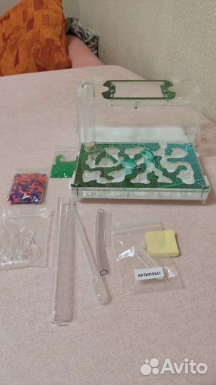 Формикарий муравьиная ферма