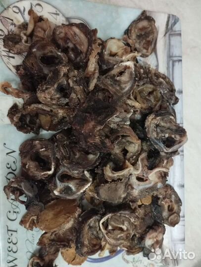 Собачьи вкусняшки