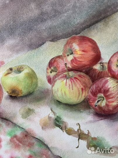Яблочки. Акварель. Размер 41см x 59см