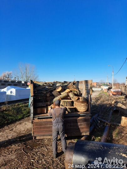 Спил деревьев,измельчитель веток