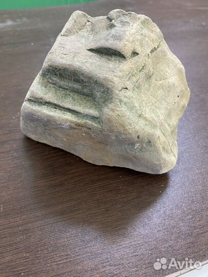 Отпечаток крупного аммонита. Перламутр